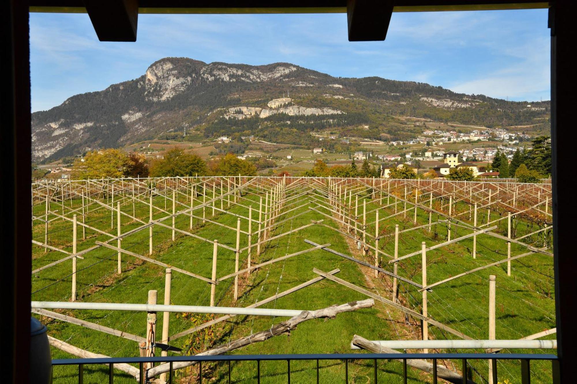8 Grappoli Agritur Villa Trento Exterior foto
